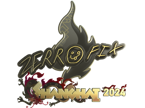 zeRRoFIX (Gold) | Shanghai 2024 image